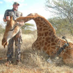 Охота на жирафа