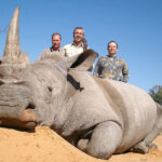 Охота на носорога
