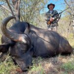 Охота на буйвола, самка – $3250