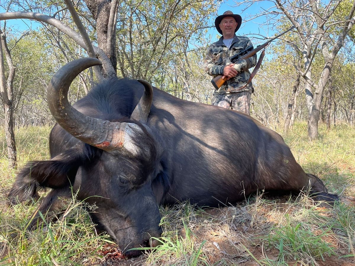 Подробнее о статье Охота на буйвола, самка – $3250